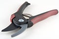 Secateurs Royalty Free Stock Photo