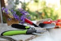 Secateurs, flowers and other gardening tools on white wooden table