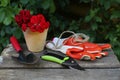 Secateurs, flowers and other gardening tools on wooden table outdoors