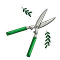 secateurs for the garden on a white background. For agriculture and pruning plants.