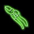 secateurs gardening tool neon glow icon illustration Royalty Free Stock Photo