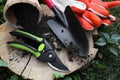 Secateurs and other gardening tools on wooden stump among green grass