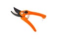 Secateurs pruner isolated on the white background
