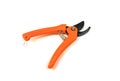 Secateurs pruner isolated on the white background