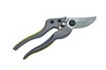 Secateurs pruner isolated on the white background