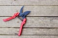 Secateurs with red handles on a wooden background with a place for the inscription close-up.