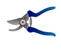Secateurs - a tool for working in the garden - vector full color picture. Garden shears for cutting plants. A metal tool with blue