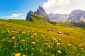 Seceda Mount, green fields and flowers in the Dolomites Alps