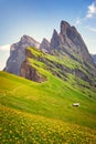 Seceda Mount, green fields and flowers in the Dolomites Alps