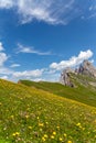Seceda Mount in summer, flowers and landscape. Dolomites Alps, Italy Royalty Free Stock Photo