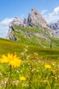 Seceda Mount in summer, flowers and landscape. Dolomites Alps, Italy Royalty Free Stock Photo