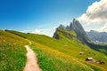 Seceda Mount, trail, green fields and flowers in the Dolomites Alps