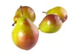 Seckel Pears Royalty Free Stock Photo