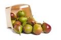 Seckel Pears from Basket Royalty Free Stock Photo