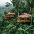 Secluded Bamboo Bungalows in the Rainforest