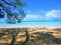 Secluded beach in the shade with welcoming bahama water.