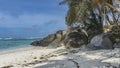 A secluded beach on a tropical island. Dry algae on white sand. Seychelles. Royalty Free Stock Photo