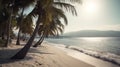 Secluded beauty: ocean and palm trees