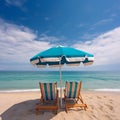 Secluded beauty: ocean and palm trees