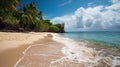 Secluded beauty: ocean and palm trees