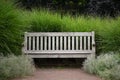 A secluded bench surrounded by tall grasses