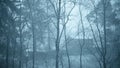 Secluded cabin in the woods in heavy snowfall