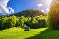 Secluded cabin in the woods. Mountain Log Cabin surrounded by trees and grass