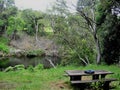 Picnic Bench near Pond and native forest up on Waialeale in Kokee, Kauai, Hawaii Royalty Free Stock Photo