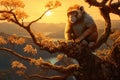 Secluded Monkey tree forest sunlight. Generate Ai