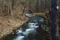 A Secluded Mountain Trout Stream in the Blue Ridge Mountains Royalty Free Stock Photo