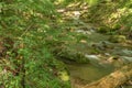 Secluded Mountain Trout Stream Royalty Free Stock Photo