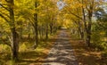 Secluded Narrow Lane Road Tree Leaves Autumn Season Fall Colors Royalty Free Stock Photo