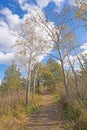 Secluded Path in the Late Fall