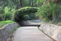 Secluded Path in Lodi Gardens