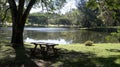 A secluded picnic spot next to a tranquil pond allows us to observe a variety of water birds while enjoying our lunch Royalty Free Stock Photo