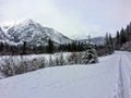 A secluded and scenic cross country skiing trail outside of Banff, Alberta, Canada. The trail goes along the Bow River with the R Royalty Free Stock Photo