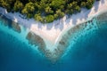 Secluded tropical heart-shaped island with white palm trees and sand