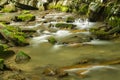 Secluded Trout Mountain Stream Royalty Free Stock Photo