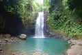 A secluded waterfall cascading into a pool of clear water surrounded Royalty Free Stock Photo