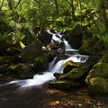 Secluded Waterfall Royalty Free Stock Photo