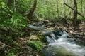 Secluded Waterfall on a Wild Mountain Stream Royalty Free Stock Photo