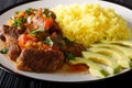 Seco de chivoÃÂ is goat stew with yellow rice and avocado close-up on a plate. horizontal