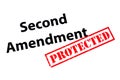 Second Amendment Protected