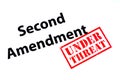 Second Amendment Under Threat Royalty Free Stock Photo