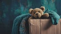 Second Hand Clothes and Teddy Bear in Carton Box - Professional Fashion Photography