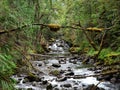 Second River - Upper Jefferson WA