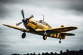 A second world war plane in the dramatic sky Royalty Free Stock Photo