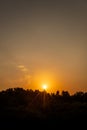 The Seconds of Sunset that Shines Among the Trees of the Sulawesi Forest