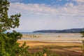 Secovlje Saltpans Natural Park Royalty Free Stock Photo