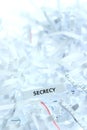 Secrecy written on shredded paper